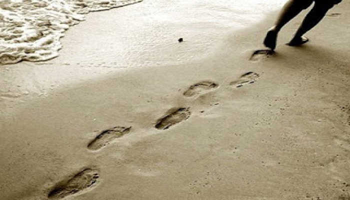 caminante no hay camino se hace camino al andar